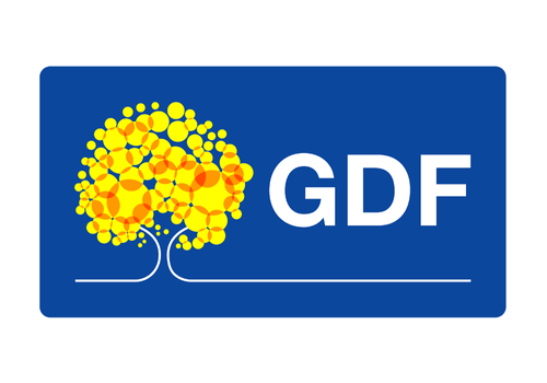 Governo do Distrito Federal