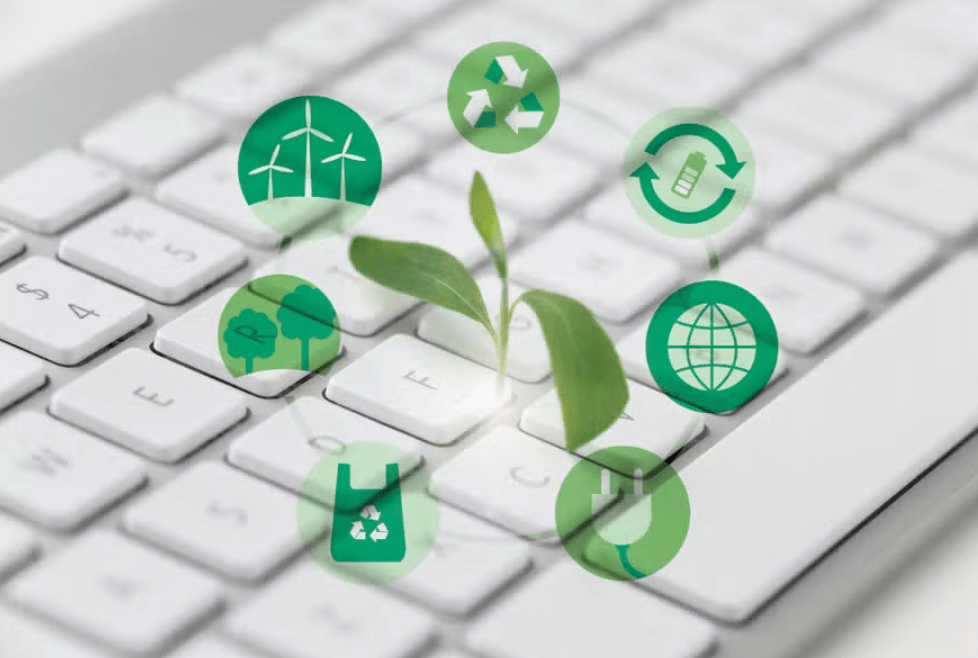 Dois milhões de jovens do Brasil estão em empregos verdes, aponta Unicef