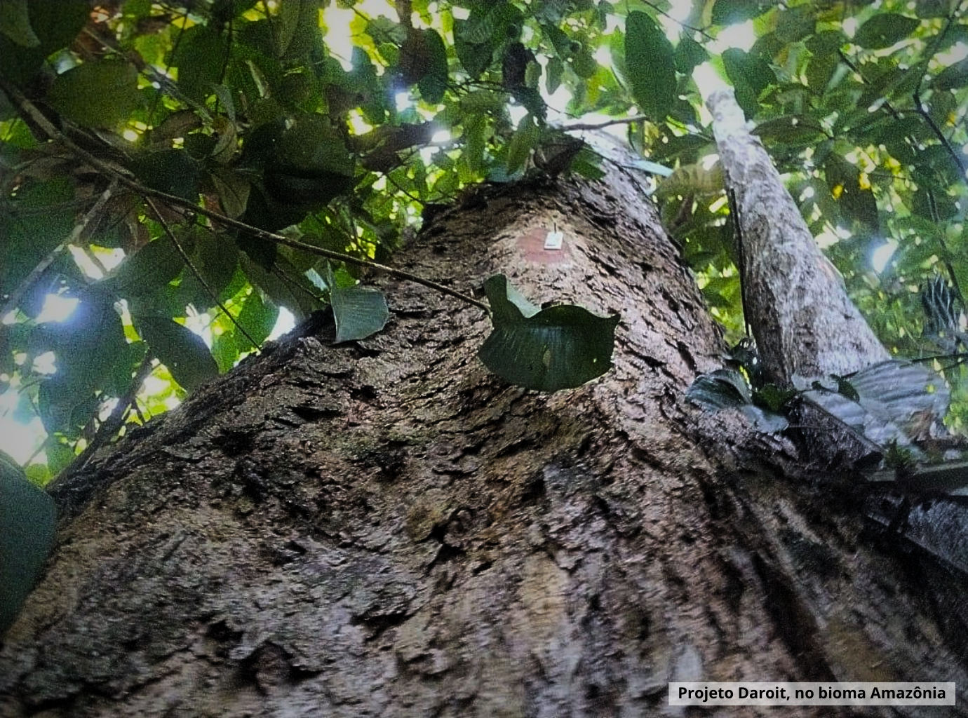 Conheça a Calculadora de gases de efeito estufa da II CIRSOL